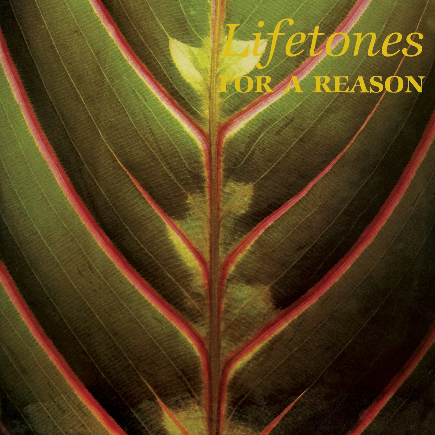 For A Reason